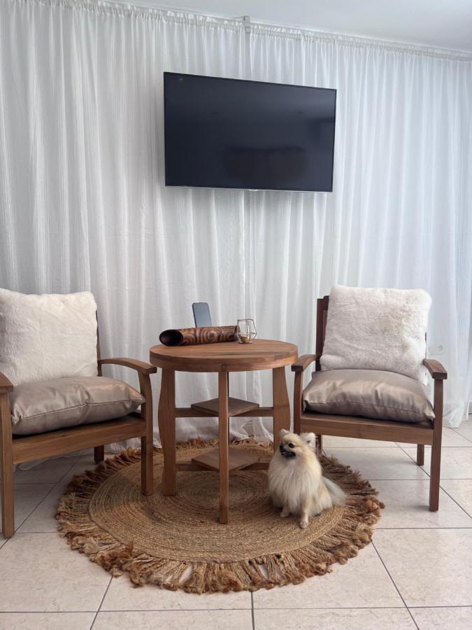 Boutique Casa Lapicida Otel Calp Dış mekan fotoğraf